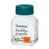 Buy Shuddha Guggulu No Prescription